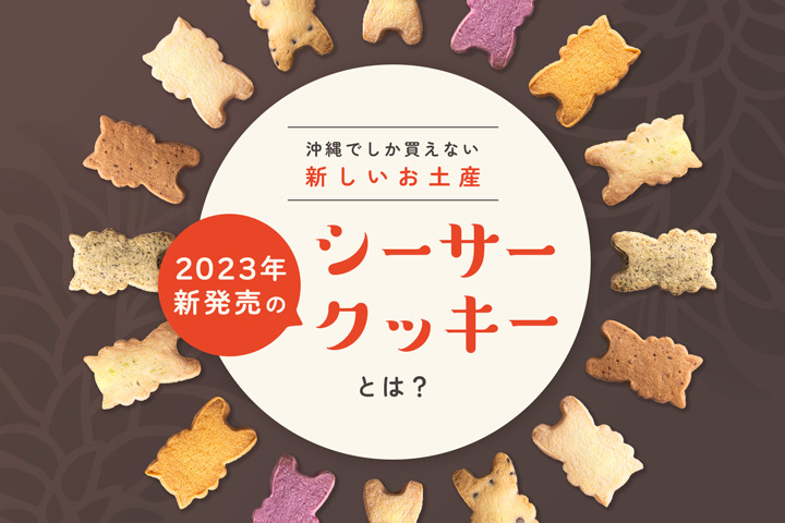 沖縄でしか買えない新しいお土産！2023年新発売の【シーサークッキー】とは？